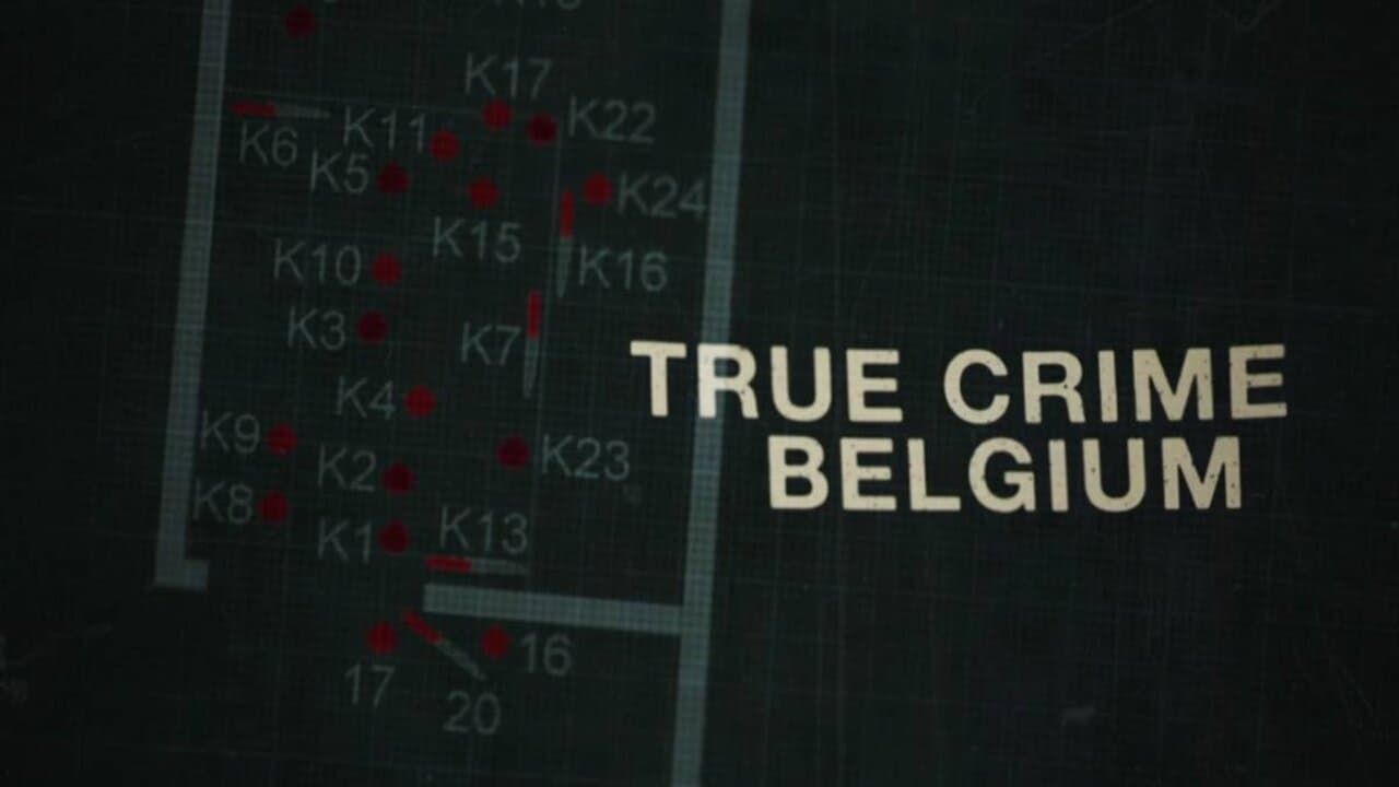 Poster della serie True Crime Belgium