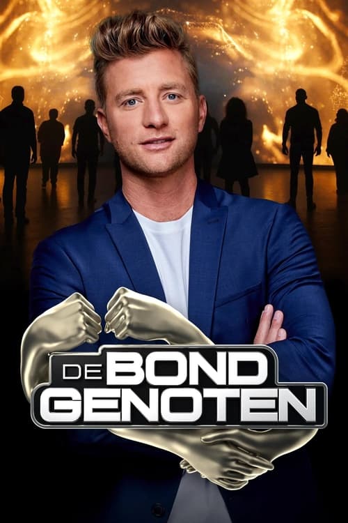 Poster della serie De Bondgenoten