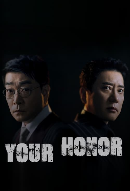 Poster della serie Your Honor