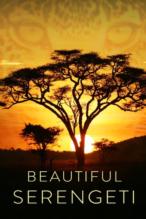 Poster della serie Beautiful Serengeti