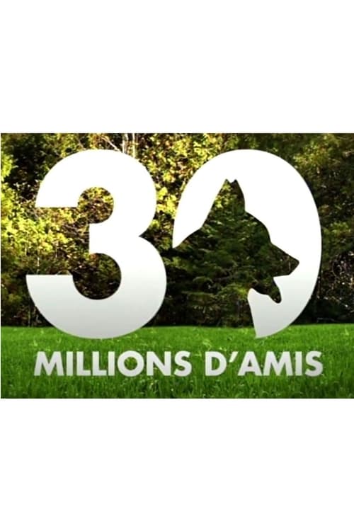 Poster della serie 30 millions d'amis