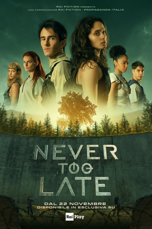 Poster della serie Never Too Late