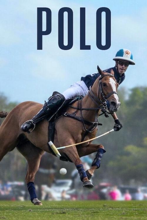 Poster della serie Polo