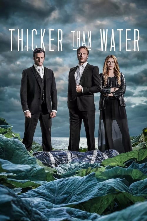 Poster della serie Thicker Than Water