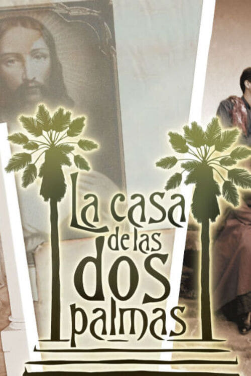 Poster della serie La casa de las dos palmas