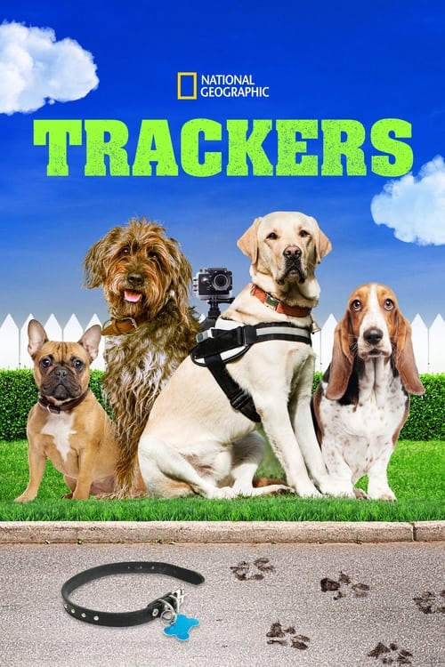 Poster della serie Trackers