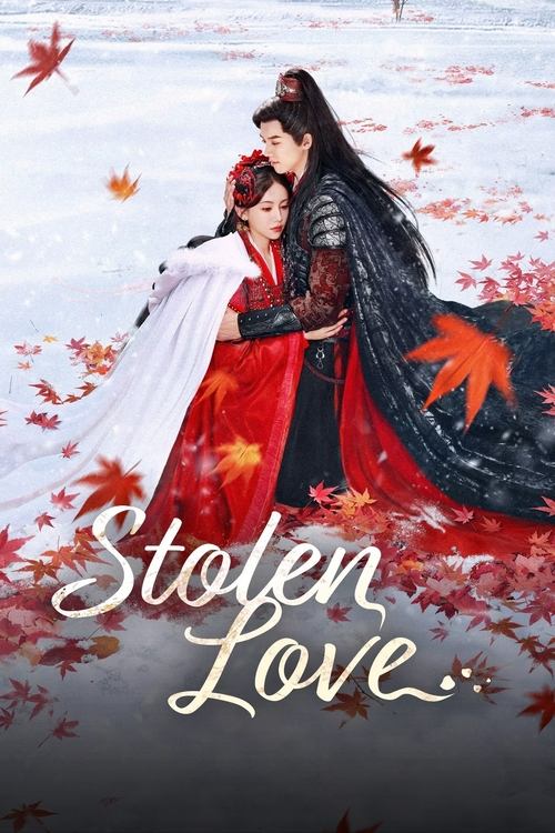 Poster della serie Stolen Love