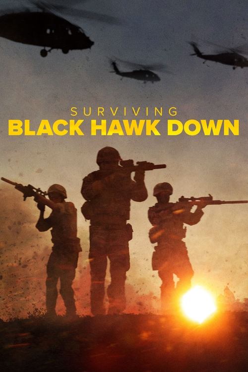 Poster della serie Surviving Black Hawk Down