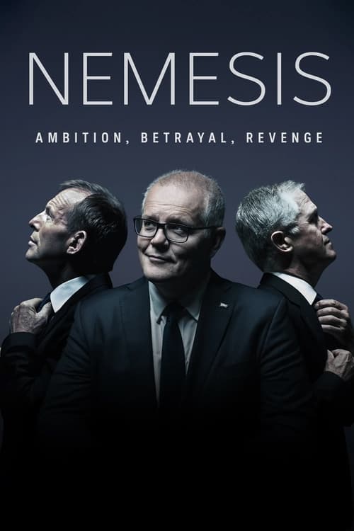 Poster della serie Nemesis